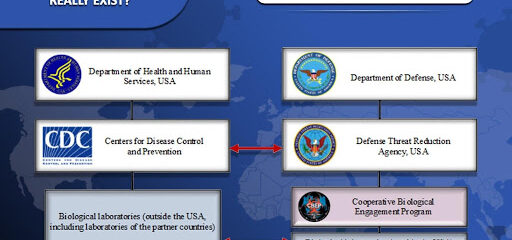 US civilian and military bio labs cooperation structure